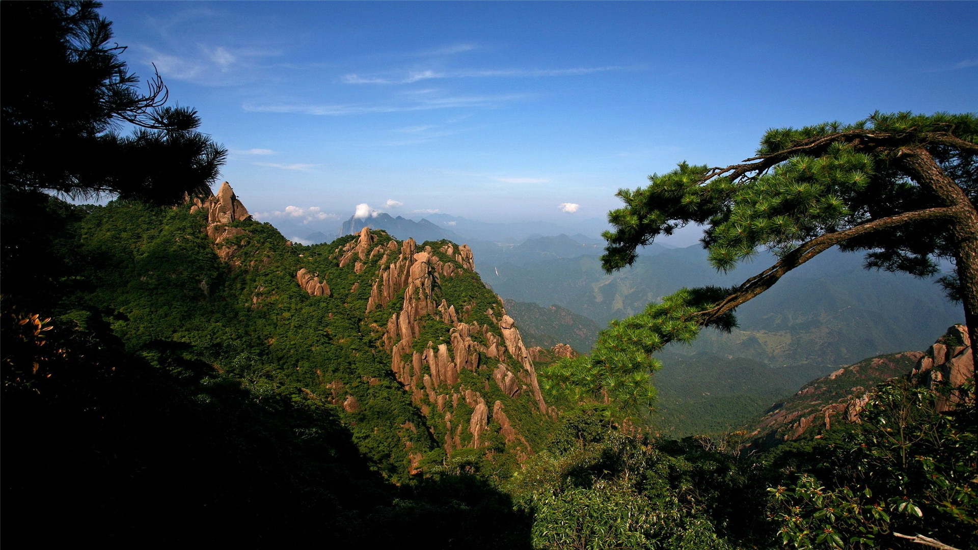 动画短片《像素花园》封面